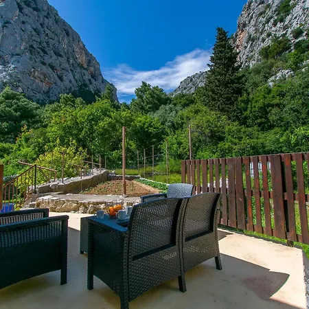 Petea Omiš