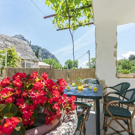 Petea Omiš