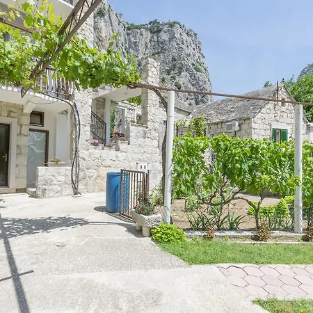 Petea Omiš